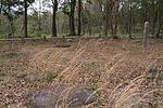 Shigaraki Palace Site