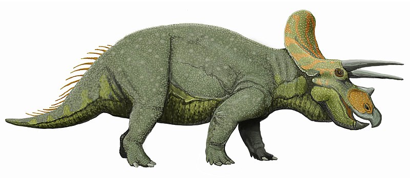 File:Triceratops liveDB.jpg