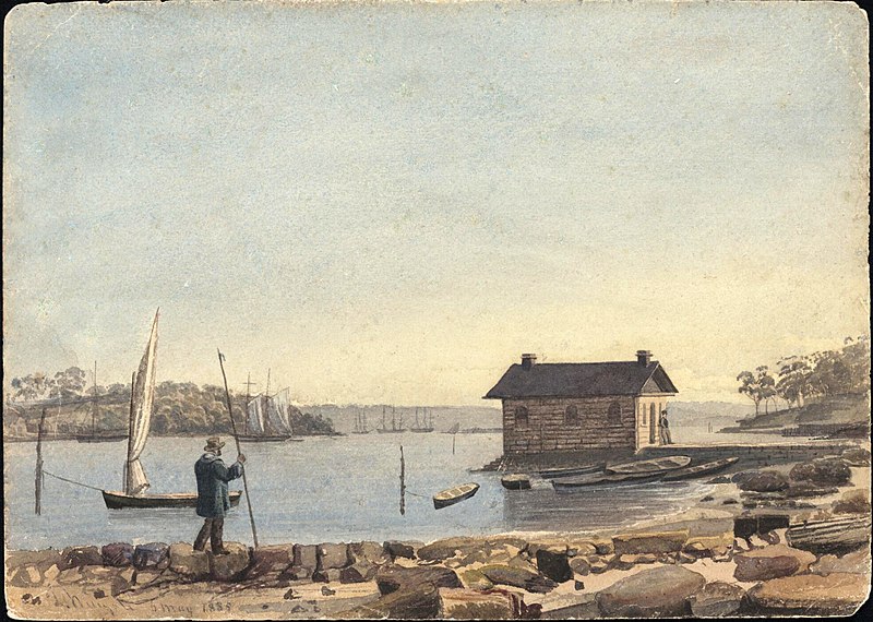 File:Woolloomooloo Bay Watercolour 1855.jpg