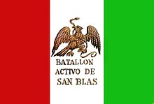 Bandera batallon snblas.jpg