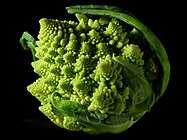 Romanesco broccoli, showing self-similar form approximating a natural fractal