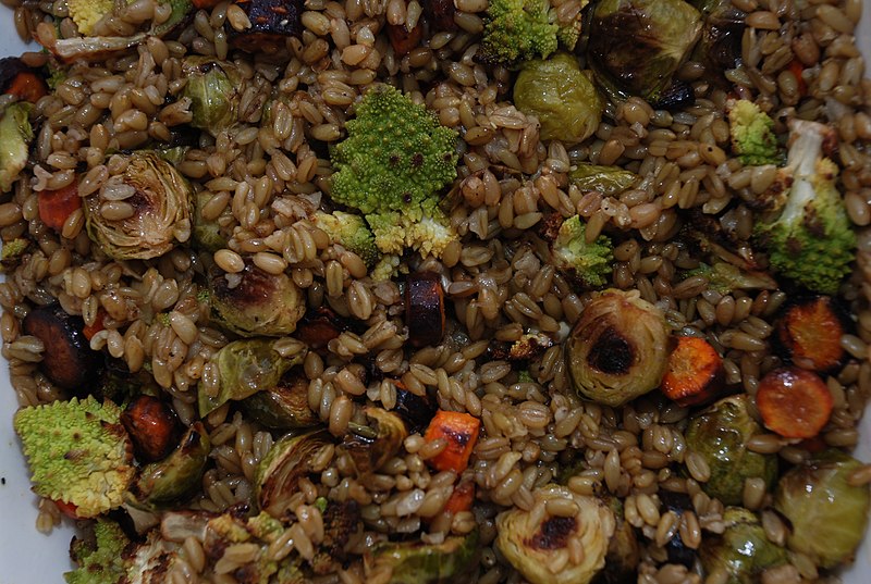 File:Freekeh with roasted vegetables.jpg