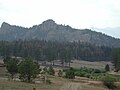 Fire damage as seen looking towards Turkey Rock