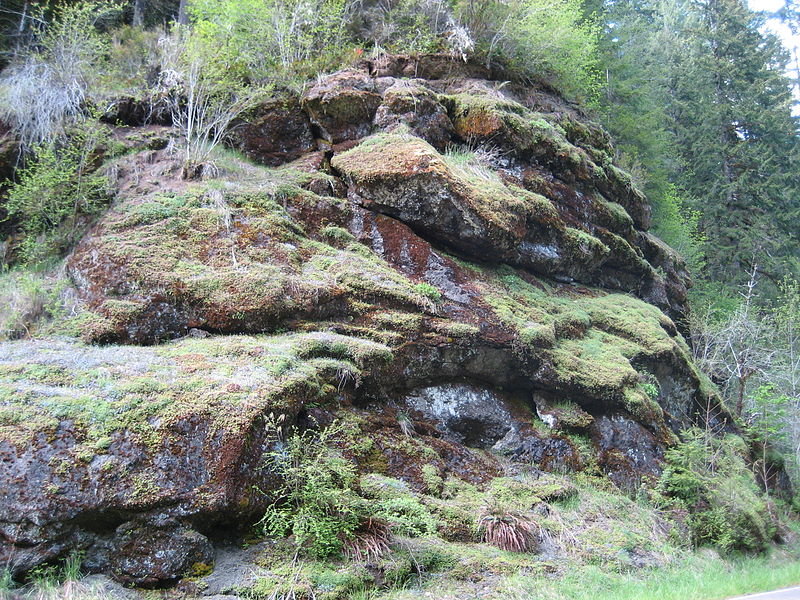 File:OregonCoastRangeRocks.JPG