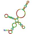 CRISPR-DR3: Secondary structure taken from the Rfam database. Family U1 snRNA.