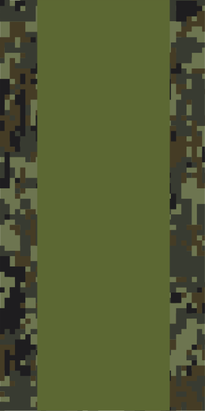 Файл:Russia-Army-OR-8.svg