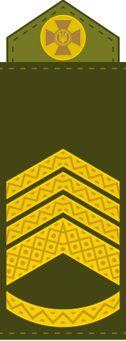 Файл:UA shoulder mark 10-0.svg