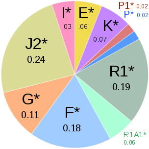 Файл:ArmenianHaplogroups.svg