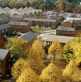 Lower campus in autumn