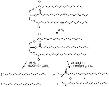 File:BiodieselRoutes.svg