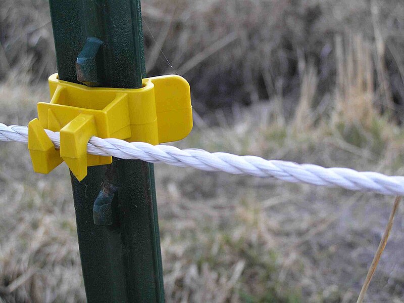 File:ElectricCord.jpg