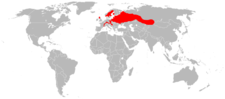 Distribución de C. fiber.