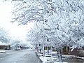 Nieve en La Carlota