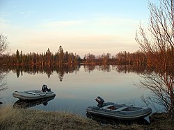 Нивка недалеко от устья