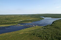 Сухая впадает в Иокангу