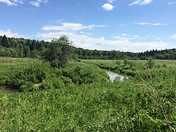 Река в районе деревни Святогорово