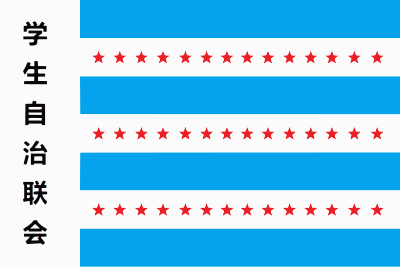 File:BSAFflag.svg