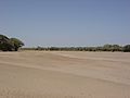 Kerio River during dry season. Riverbed is silty and easily erodes during storm events.