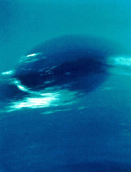 File:Neptune darkspot.jpg