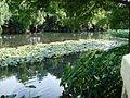 The shallow Comal River flows nearby.