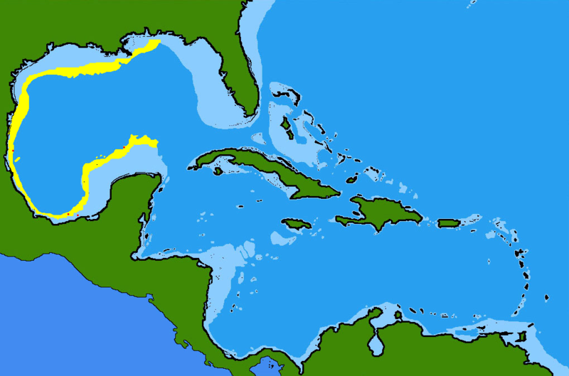 File:Squatina mexicana range.png