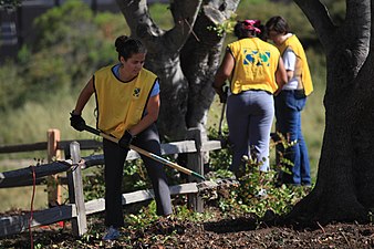 Volunteers help with renovation, April 2012.