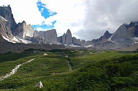 Magellanic subpolar forests