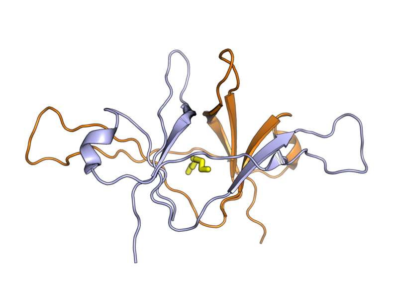 File:2cme sarscov orf9b.png