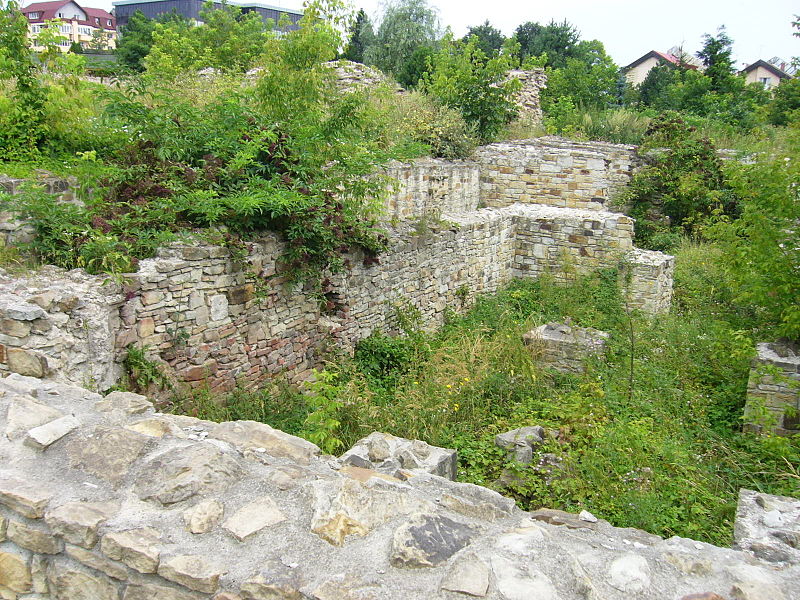 File:Curtea domneasca din Suceava1.jpg