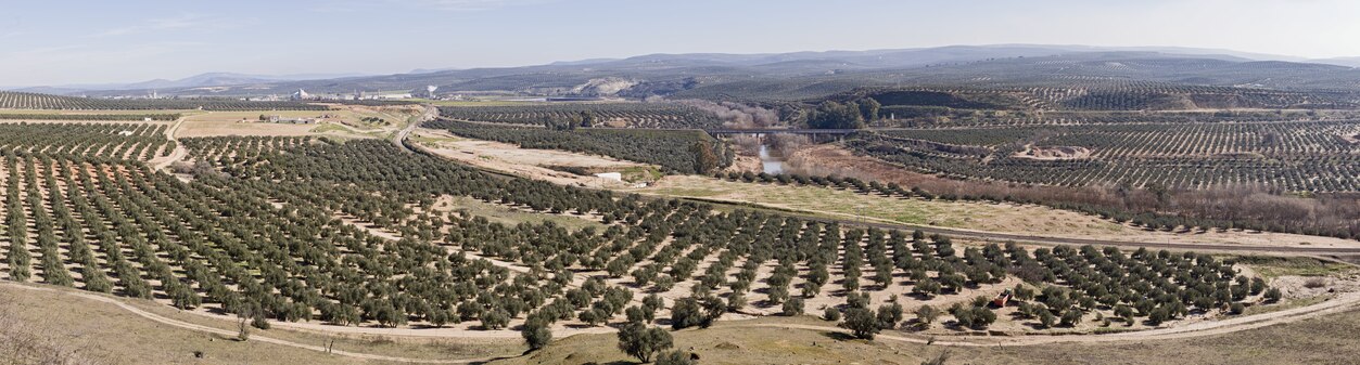 Vista panorámica del entorno de Cástulo, junto al Guadalimar.