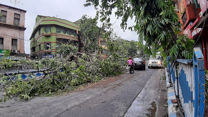 File:Kolkata after Amphan 06.jpg