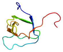 Protein PRMT2 PDB 1x2p.png