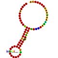 RF_site4: Secondary structure taken from the Rfam database. Family RF01090. Derived from Pseudobase PKB00257