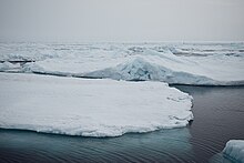 Фото внутреннего строения однолетнего ледяного тороса.