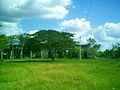 Vista de la hacienda Xcuyún.