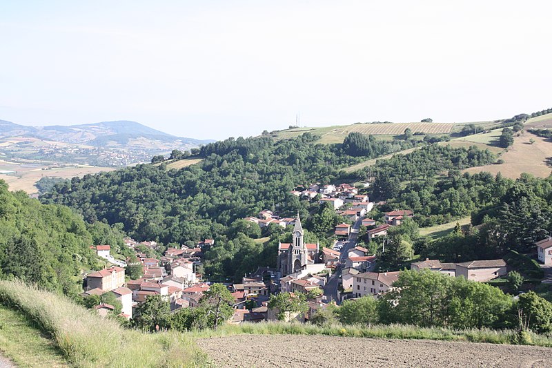 File:001. Vue de Courzieu.JPG