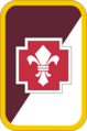 62nd Medical Brigade[13]