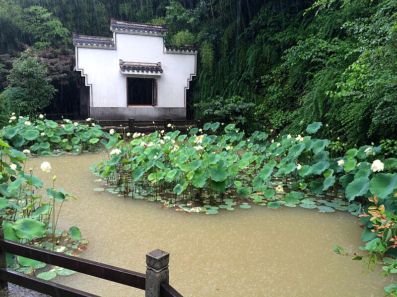 File:Lotus at Qiandao Lake.JPG