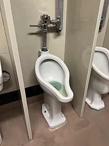 Old-fashioned urinal at AMNH.jpg