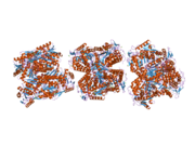 2onm: Human Mitochondrial Aldehyde Dehydrogenase Asian Variant, ALDH2*2, complexed with NAD+