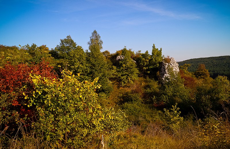 File:Podłęże - panoramio.jpg