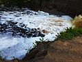 р. Саблинка ниже уровня водопада