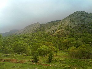 Tange deel around the Gachsaran city, early spring