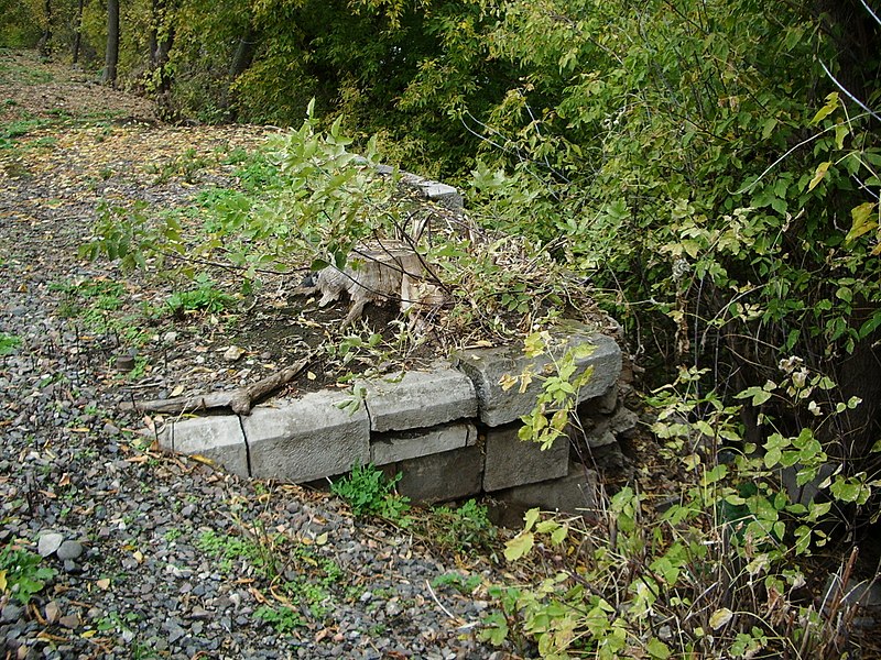 Файл:Voennoe pole bridge remains.jpg