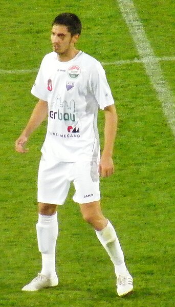 Файл:Aleksandar Alempijevic.jpg