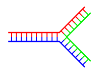 File:Branch-dna-single.svg