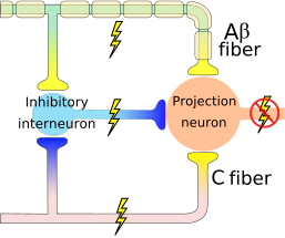 File:Gate control A firing.svg