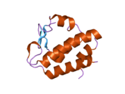 2hpl: Crystal structure of the mouse p97/PNGase complex