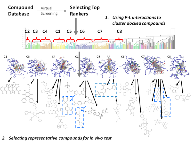 File:Wiki Clustering.png