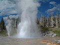 Yellowstone